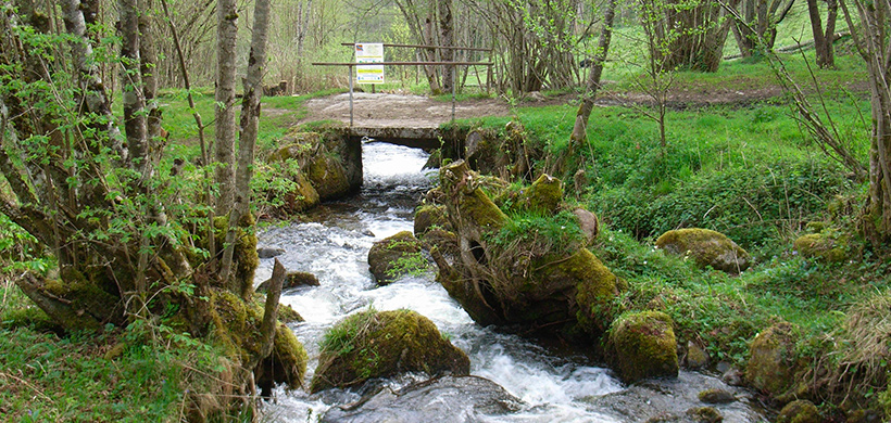 Vue de la rivière